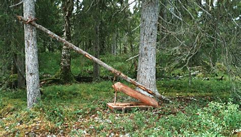 Hunting & trapping .